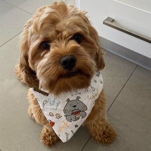 Meet your Posher, Ruby